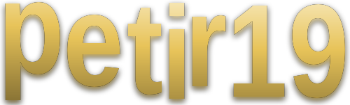 petir19 logo